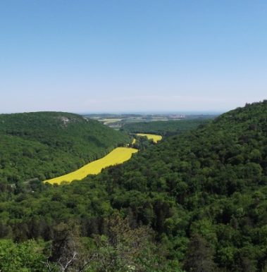 Point de vue sur la vallée de Suzon
