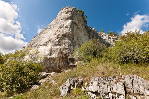 Randonnée "Le Bouton d'Or" (Tronçon 1)