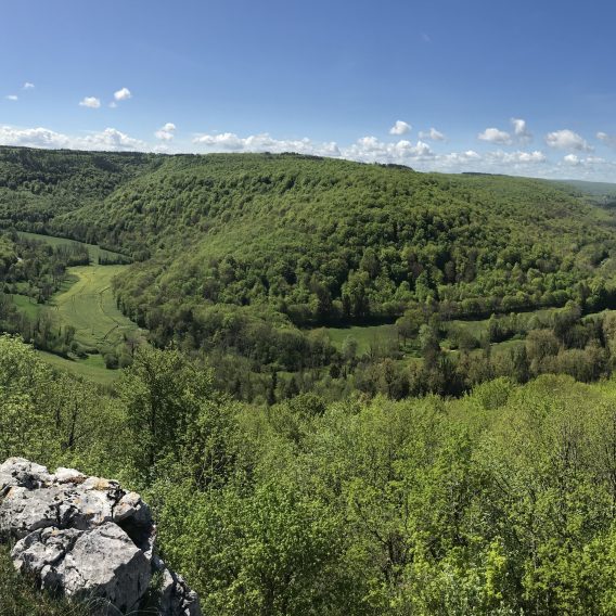 office tourisme forêts Seine et Suzon - Panorama