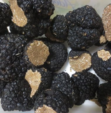 Truffes_de_Bourgogne_-_Tuber_uncinatum
