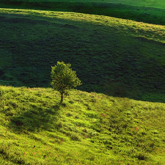 Nature - Office de tourisme Forêts Seine et Suzon