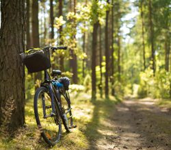 bike standing on the forest path