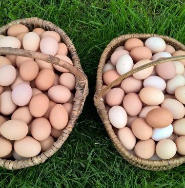 Oeufs