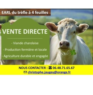 Trèfle à 4 feuilles
