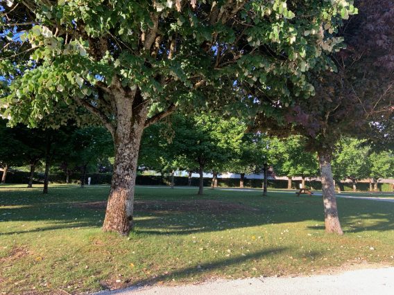 Aire de camping car Chanceaux – Image 2