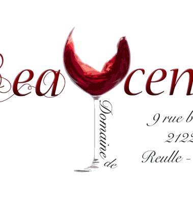 Logo Domaine de Beaucenot